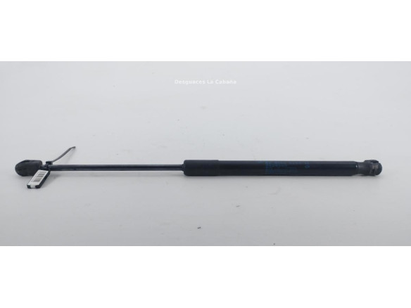 51237329410 AMORTIGUADOR CAPO BMW X1 (F48)|Desguaces La Cabaña