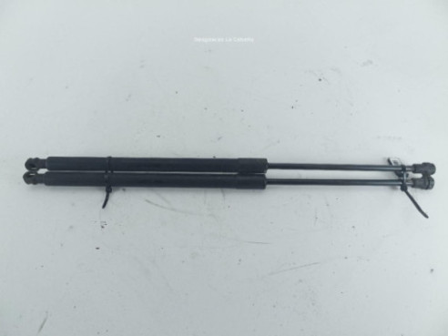 AMORTIGUADOR PORTON / TAPA MALETA CHEVROLET CAPTIVA (C100, C140)|Desguaces La Cabaña