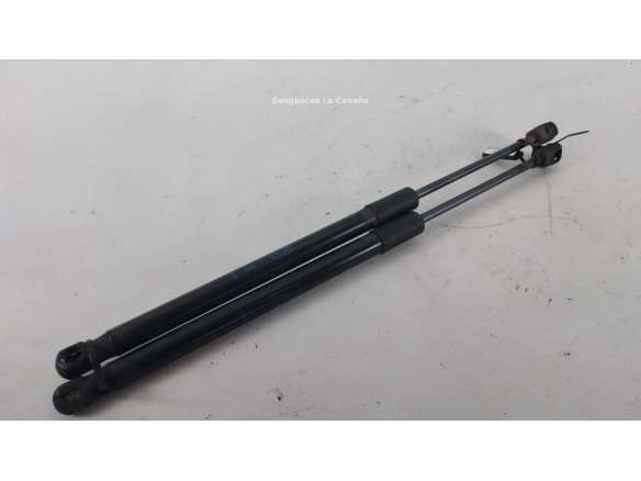 39115290 AMORTIGUADOR CAPO OPEL INSIGNIA B Grand Sport (Z18)|Desguaces La Cabaña