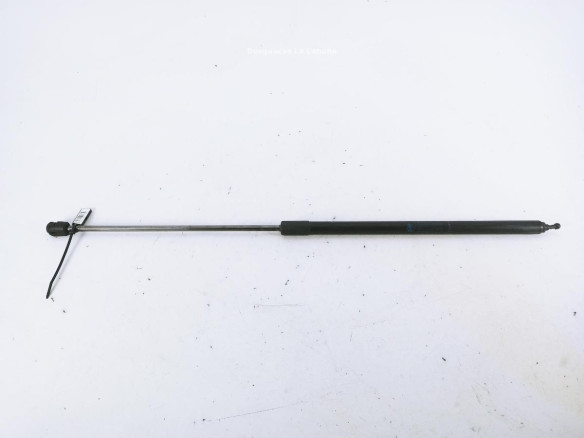 654710003R AMORTIGUADOR CAPO RENAULT MEGANE III Fastback (BZ0_)|Desguaces La Cabaña