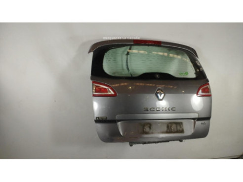 PORTON RENAULT SCÉNIC III (JZ0/1_)|Desguaces La Cabaña