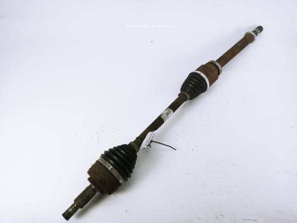 391006777R PALIER DEL DER RENAULT SCÉNIC III (JZ0/1_)|Desguaces La Cabaña