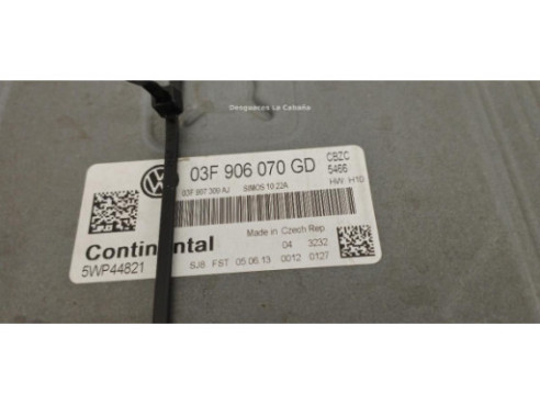 03F906070GD CENTRALITA MOTOR VW POLO (6R1, 6C1)|Desguaces La Cabaña