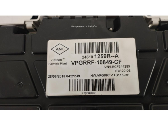 248101259RA CUADRO INSTRUMENTOS RENAULT CLIO IV (BH_)|Desguaces La Cabaña