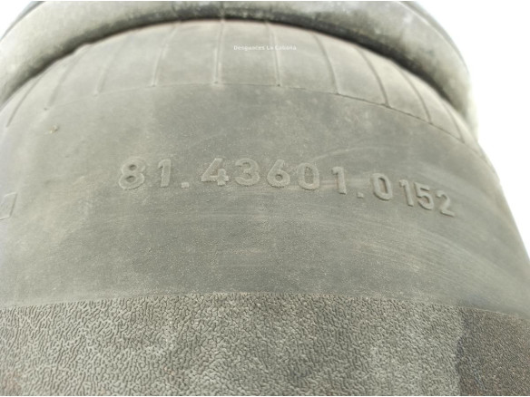 81436010152 BALONA SUSPENSION DEL DER MAN TGX II|Desguaces La Cabaña