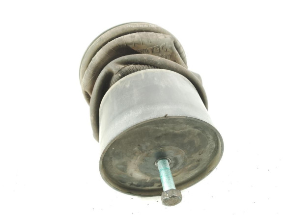 81436010152 BALONA SUSPENSION DEL IZQ MAN TGX II|Desguaces La Cabaña