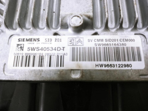 5WS40534DT,9663122980, CENTRALITA MOTOR CITROEN C5 I (DC_)|Desguaces La Cabaña