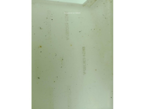 BK21V23200BD ELEVALUNAS PUERTA LAT DEL DER FORD TRANSIT CUSTOM Furgón|Desguaces La Cabaña 2