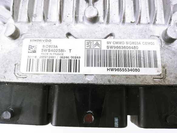 9663606480 5WS40258I CENTRALITA MOTOR CITROEN C5 I (DC_)|Desguaces La Cabaña