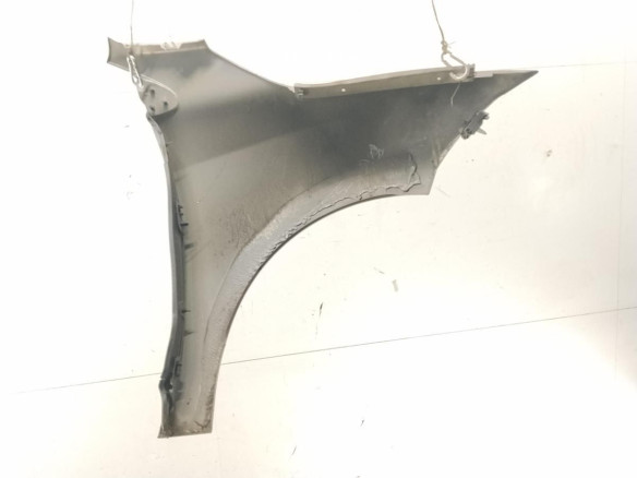   ALETA DEL IZQ RENAULT MEGANE III Coupé (DZ0/1_)|Desguaces La Cabaña