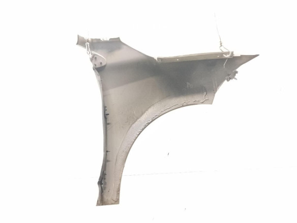   ALETA DEL IZQ RENAULT MEGANE III Coupé (DZ0/1_)|Desguaces La Cabaña