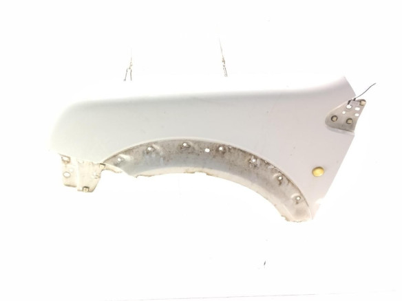   ALETA DEL IZQ FORD TRANSIT CONNECT (P65_, P70_, P80_)|Desguaces La Cabaña