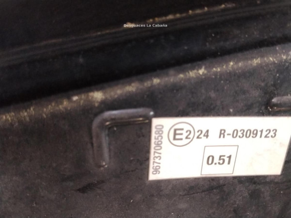 7901R1 CAPO CITROEN C3 II|Desguaces La Cabaña