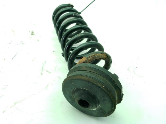   MUELLE SUSPENSION TRA IZQ MERCEDES BENZ CLS (C219)|Desguaces La Cabaña