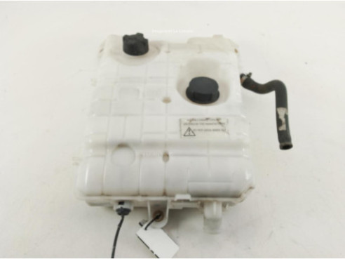 1018642S01 BOTE EXPANSOR RENAULT Premium|Desguaces La Cabaña