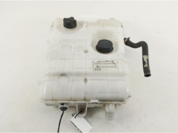 1018642S01 BOTE EXPANSOR RENAULT Premium|Desguaces La Cabaña