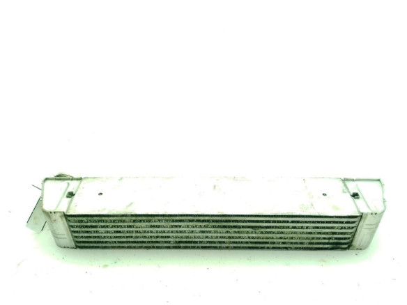 17517795823 INTERCOOLER BMW 5 (E60)|Desguaces La Cabaña