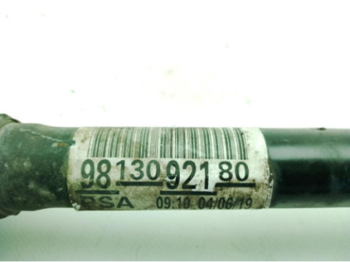 9816290480 DEPOSITO ADBLUE CITROEN SPACETOURER|Desguaces La Cabaña 2