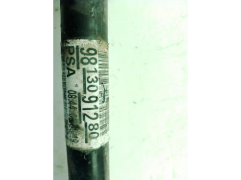 9816290480 DEPOSITO ADBLUE CITROEN SPACETOURER|Desguaces La Cabaña 2