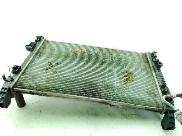 A1695002103 RADIADOR AGUA MERCEDES BENZ CLASE A (W169)|Desguaces La Cabaña