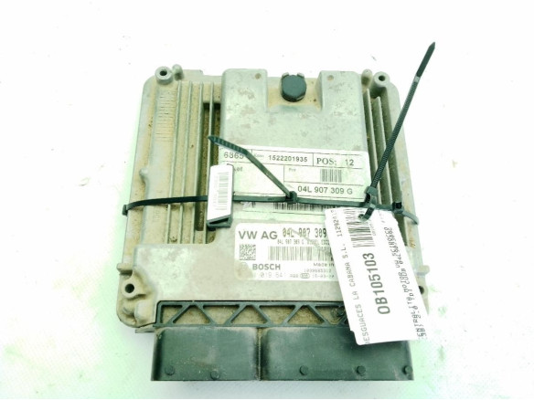 04L907309G CENTRALITA MOTOR VW SCIROCCO (137, 138)|Desguaces La Cabaña