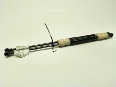 PUERTA LAT DEL IZQ ABARTH PUNTO (199_)|Desguaces La Cabaña 2