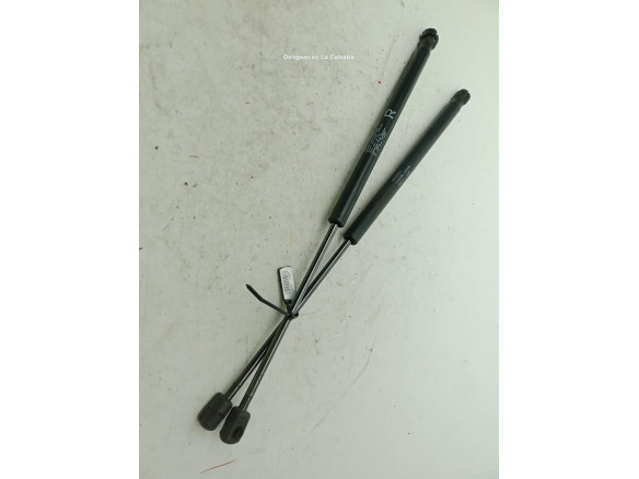   AMORTIGUADOR PORTON / TAPA MALETA PEUGEOT 4007 (GP_)|Desguaces La Cabaña