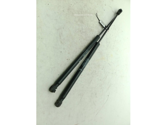   AMORTIGUADOR PORTON / TAPA MALETA PEUGEOT 4007 (GP_)|Desguaces La Cabaña