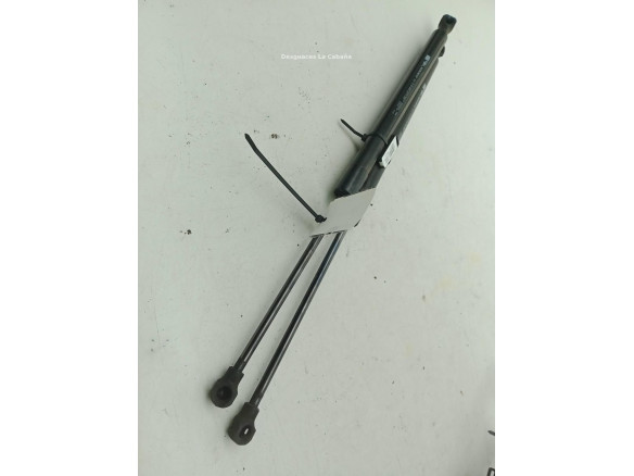 844308661R AMORTIGUADOR PORTON / TAPA MALETA RENAULT CLIO IV (BH_)|Desguaces La Cabaña