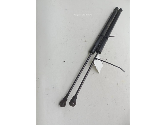844308661R AMORTIGUADOR PORTON / TAPA MALETA RENAULT CLIO IV (BH_)|Desguaces La Cabaña