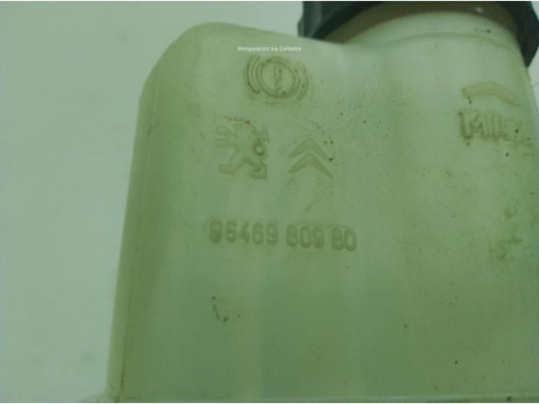 4601Y7, 9646980980 BOMBA FRENO CITROEN C5 III (RD_)|Desguaces La Cabaña