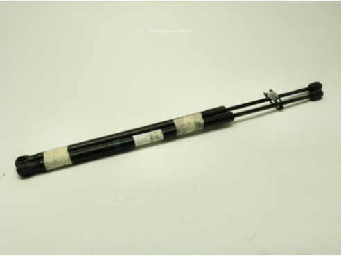 AMORTIGUADOR CAPO MERCEDES BENZ CLASE E (W212)|Desguaces La Cabaña