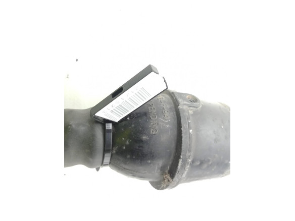 NIEBLA DEL DER SUZUKI BALENO (EG)|Desguaces La Cabaña