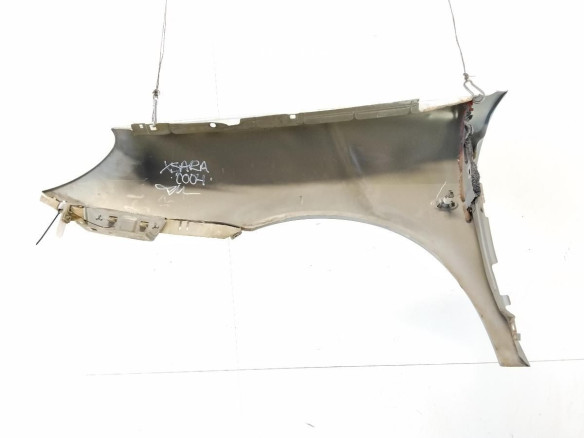 ALETA DEL IZQ CITROEN XSARA (N1)|Desguaces La Cabaña