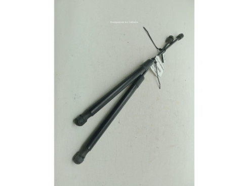 3AF827550B AMORTIGUADOR PORTON / TAPA MALETA VW PASSAT Variant (365)|Desguaces La Cabaña