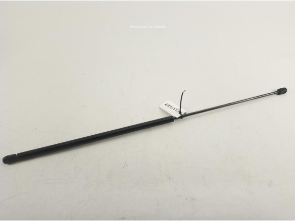 81970060003 AMORTIGUADOR CAPO MAN TGL|Desguaces La Cabaña