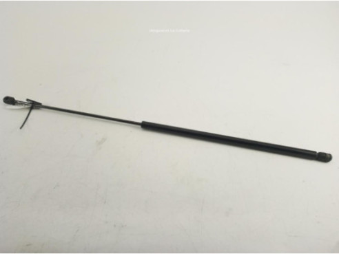 81970060003 AMORTIGUADOR CAPO MAN TGL|Desguaces La Cabaña