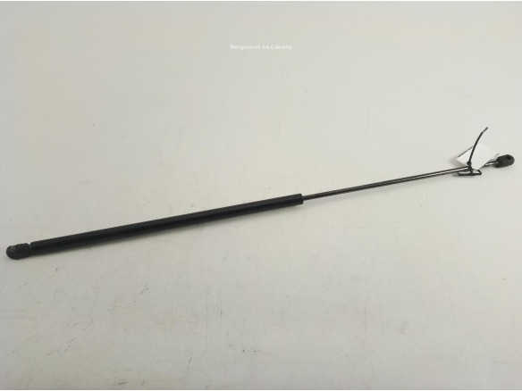 81970060003 AMORTIGUADOR CAPO MAN TGL|Desguaces La Cabaña