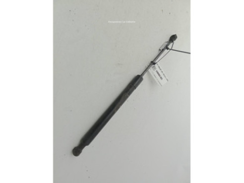 654703934R AMORTIGUADOR CAPO RENAULT CLIO IV (BH_)|Desguaces La Cabaña