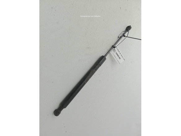 654703934R AMORTIGUADOR CAPO RENAULT CLIO IV (BH_)|Desguaces La Cabaña
