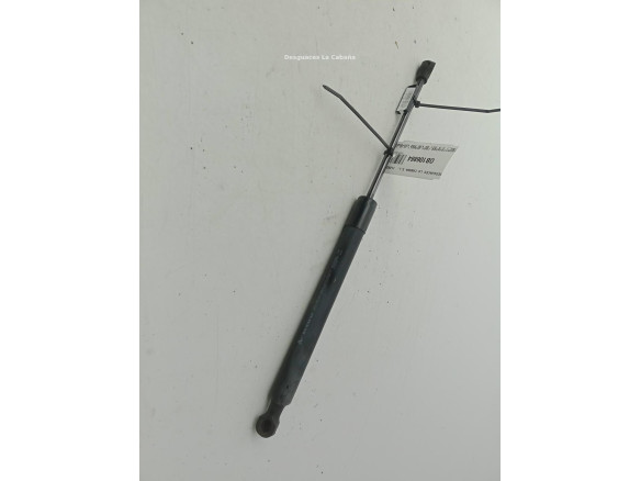 654703934R AMORTIGUADOR CAPO RENAULT CLIO IV (BH_)|Desguaces La Cabaña