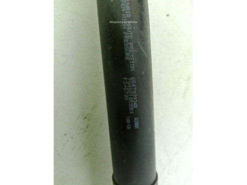 654703934R AMORTIGUADOR CAPO RENAULT CLIO IV (BH_)|Desguaces La Cabaña