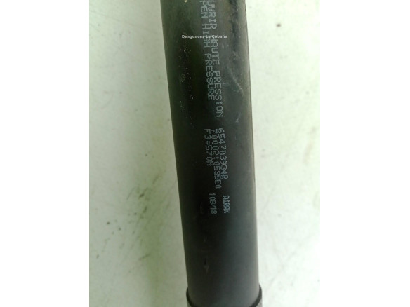 654703934R AMORTIGUADOR CAPO RENAULT CLIO IV (BH_)|Desguaces La Cabaña