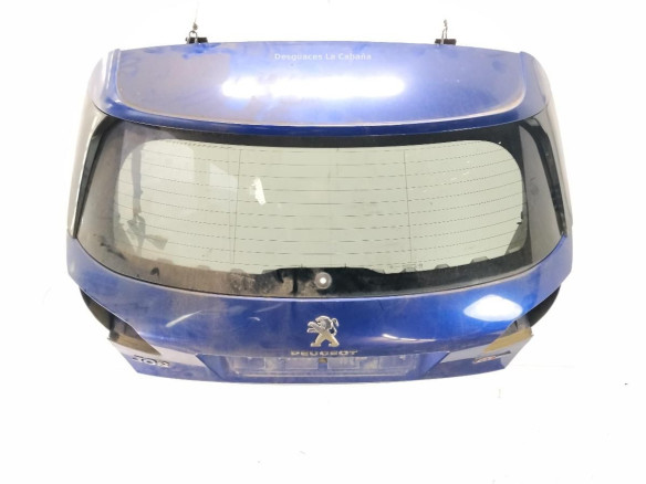 1610669880 PORTON PEUGEOT 308 II|Desguaces La Cabaña