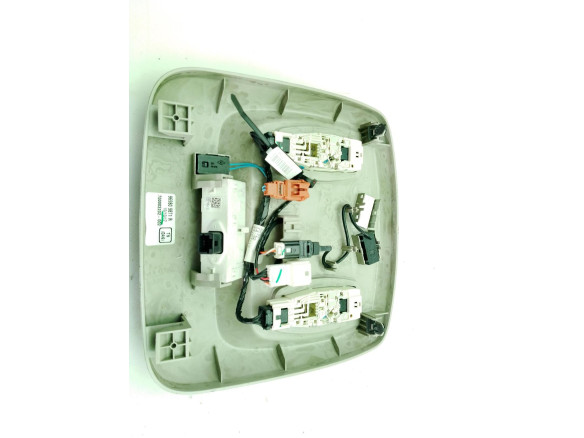 264301419R 969809871R PLAFON DEL RENAULT KADJAR (HA_, HL_)|Desguaces La Cabaña