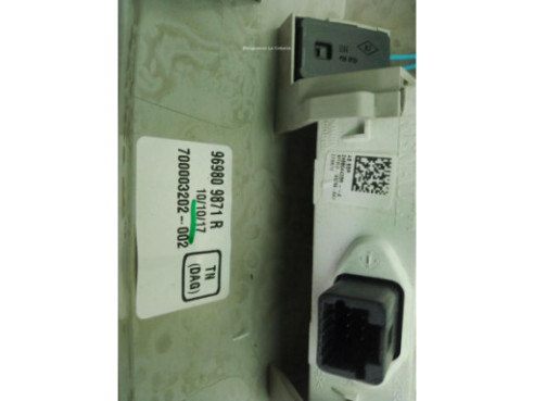 264301419R 969809871R PLAFON DEL RENAULT KADJAR (HA_, HL_)|Desguaces La Cabaña