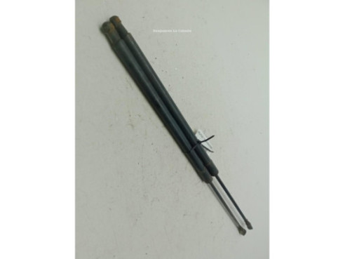   ELEVALUNAS PUERTA LAT TRA DER NISSAN X-TRAIL (T31)|Desguaces La Cabaña 2