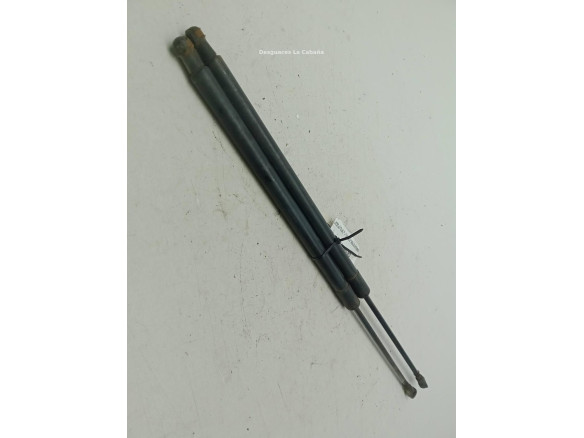   AMORTIGUADOR PORTON / TAPA MALETA NISSAN X-TRAIL (T31)|Desguaces La Cabaña