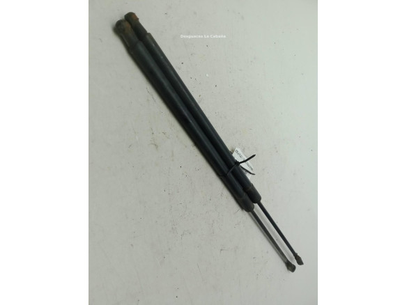   AMORTIGUADOR PORTON / TAPA MALETA NISSAN X-TRAIL (T31)|Desguaces La Cabaña