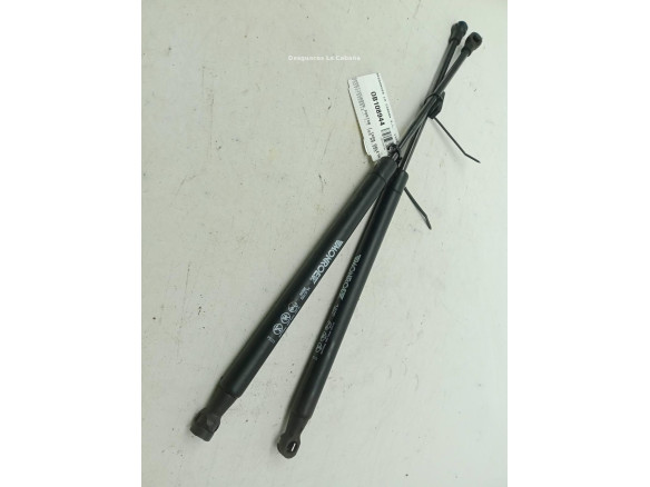 0000051785412 AMORTIGUADOR PORTON / TAPA MALETA FIAT 500 (312_)|Desguaces La Cabaña